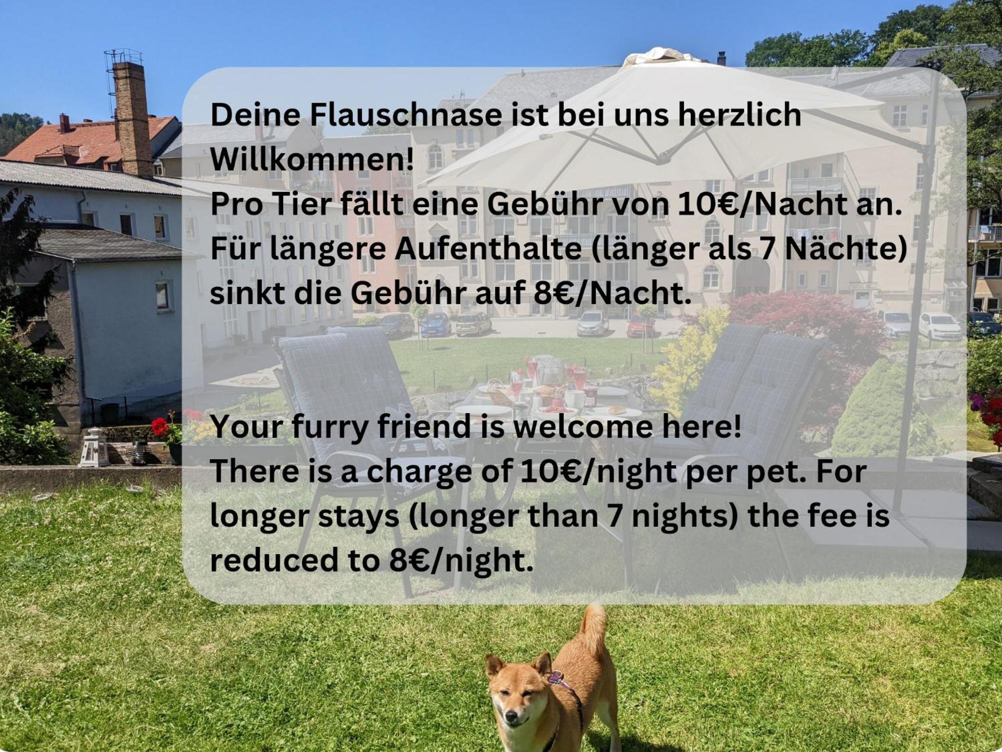 סבניץ Hw2B - Urlaubsmagie - Wohlfuehlwohnung Mit Balkon, Pool, Sauna & Terrasse מראה חיצוני תמונה